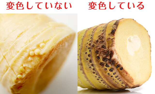 たけのこの冷凍で失敗しないポイント