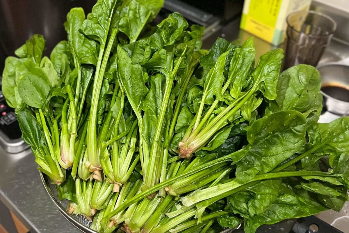 「牡蠣×ほうれん草」栄養素的にもったいない理由
