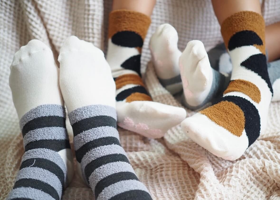 【ダイソー】マニアがテレビで紹介！最新3選