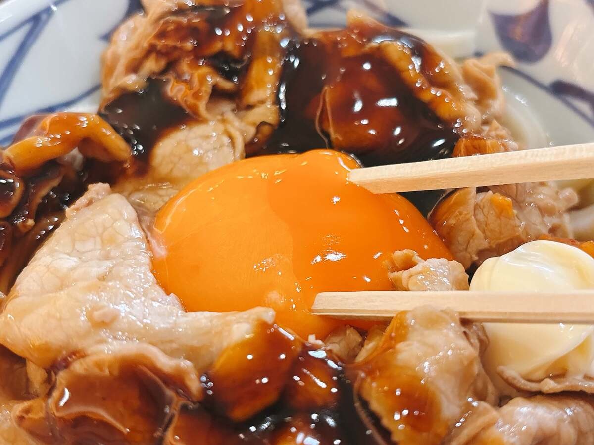 丸亀製麺「こく旨豚玉ぶっかけ 並（税込890円）