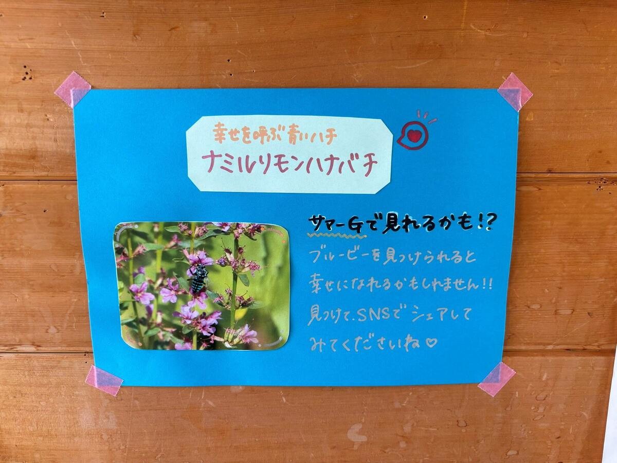 道の駅みやま公園