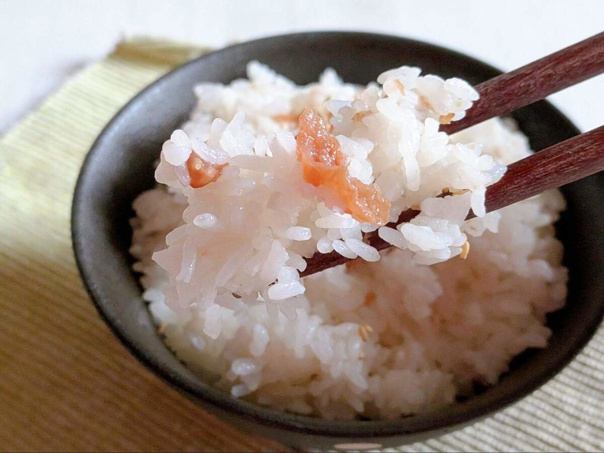 梅干しのさっぱりだしごはん