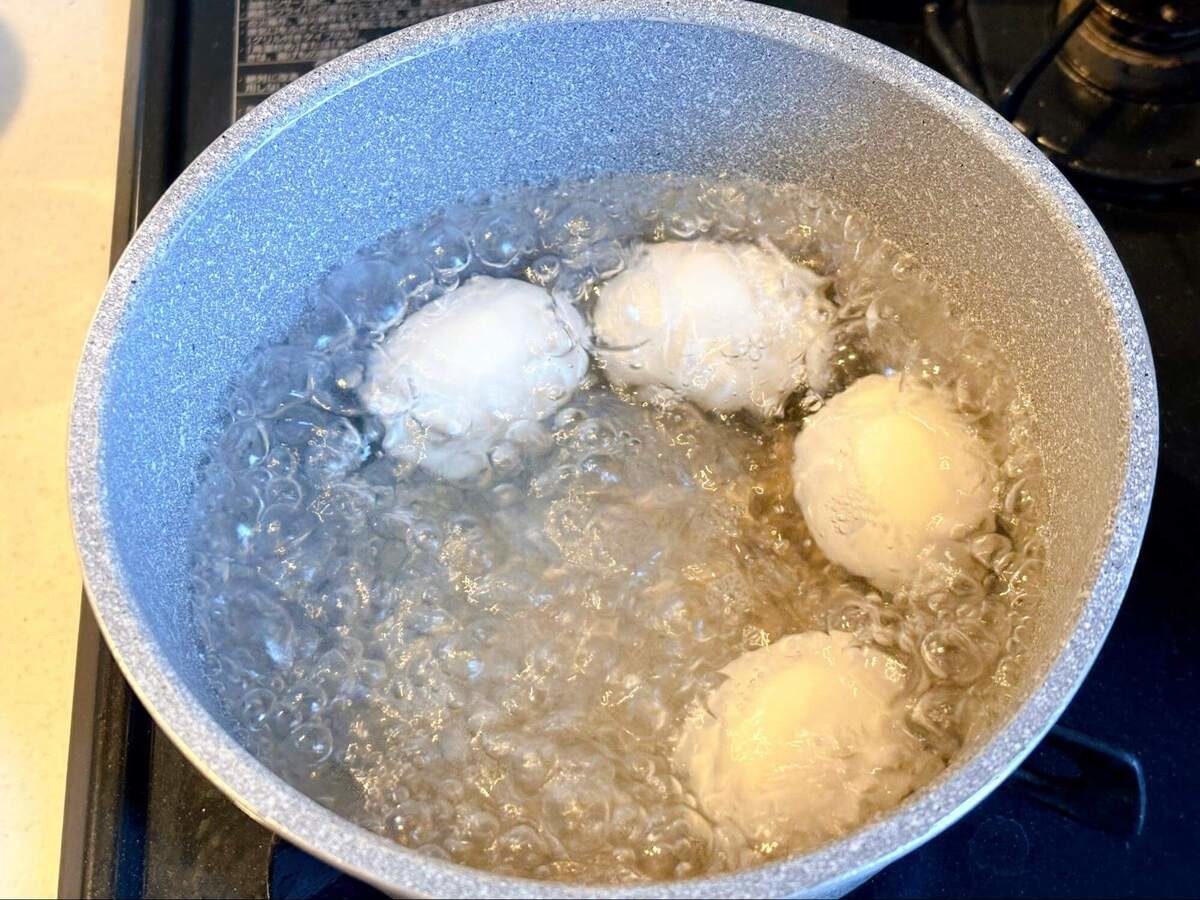 麻薬たまえのき