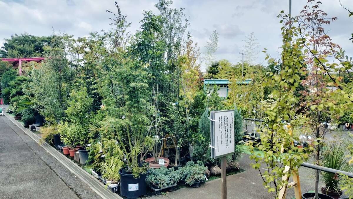 「道の駅川口・あんぎょう」
