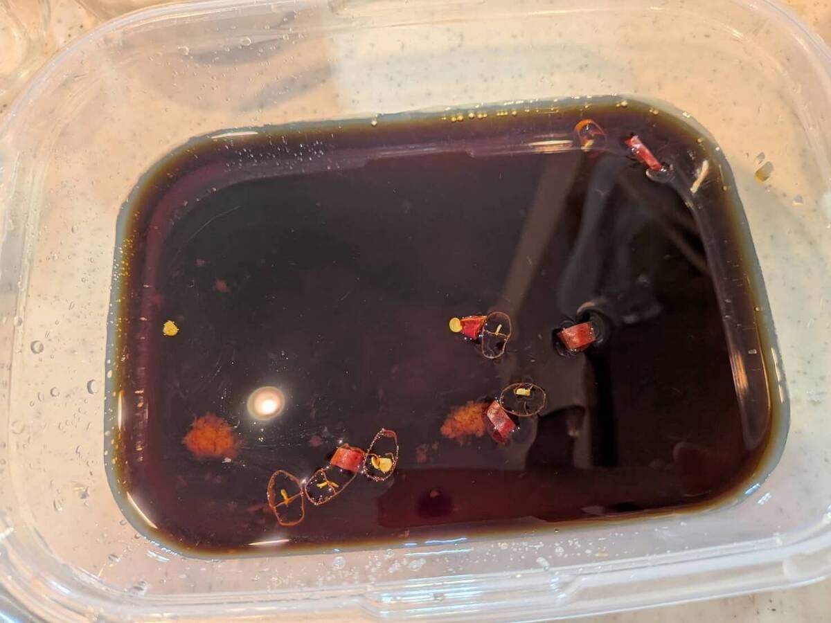 鳥羽周作さん「麻薬卵」のレシピ