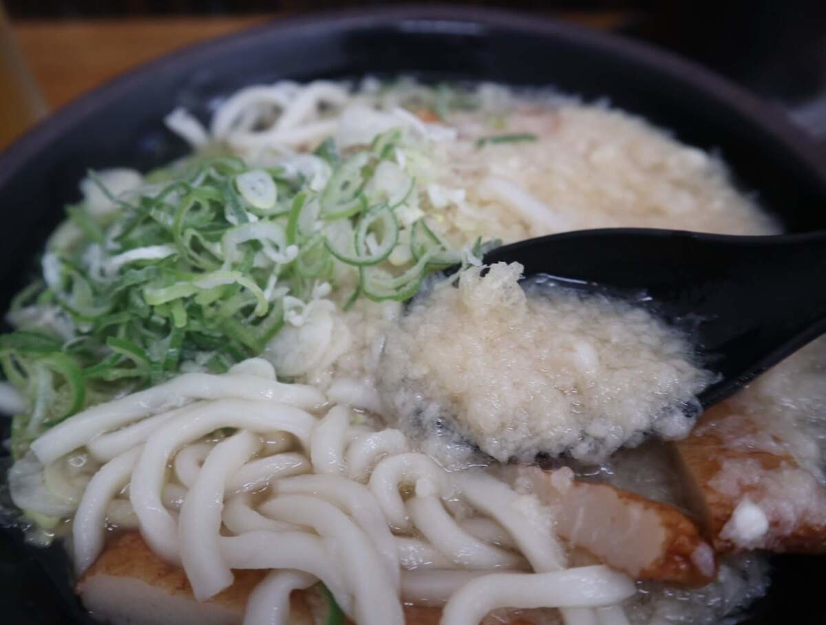 宮崎県「きっちょううどん」実食レポ