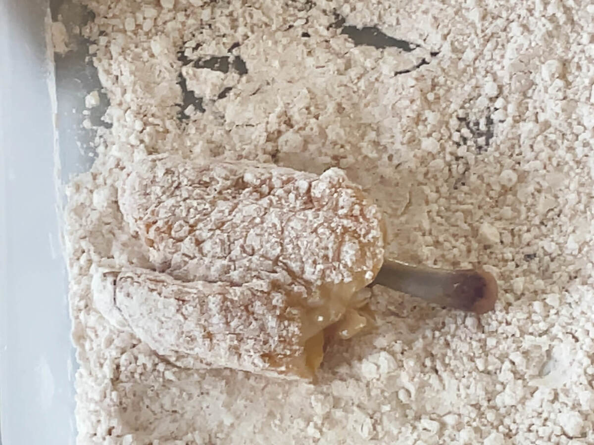 アゲ☆揚げチキン