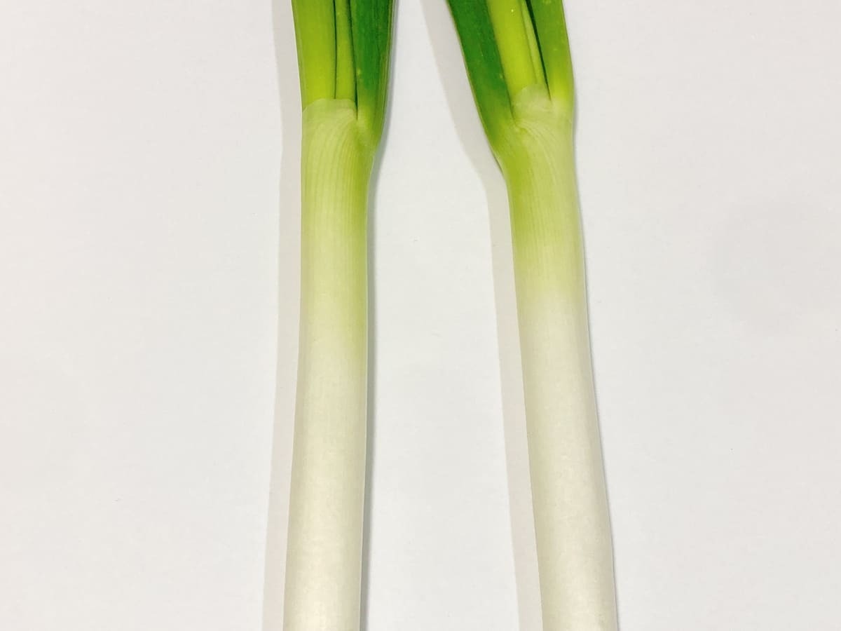 【長ネギの見分け方】おいしい特徴とは？