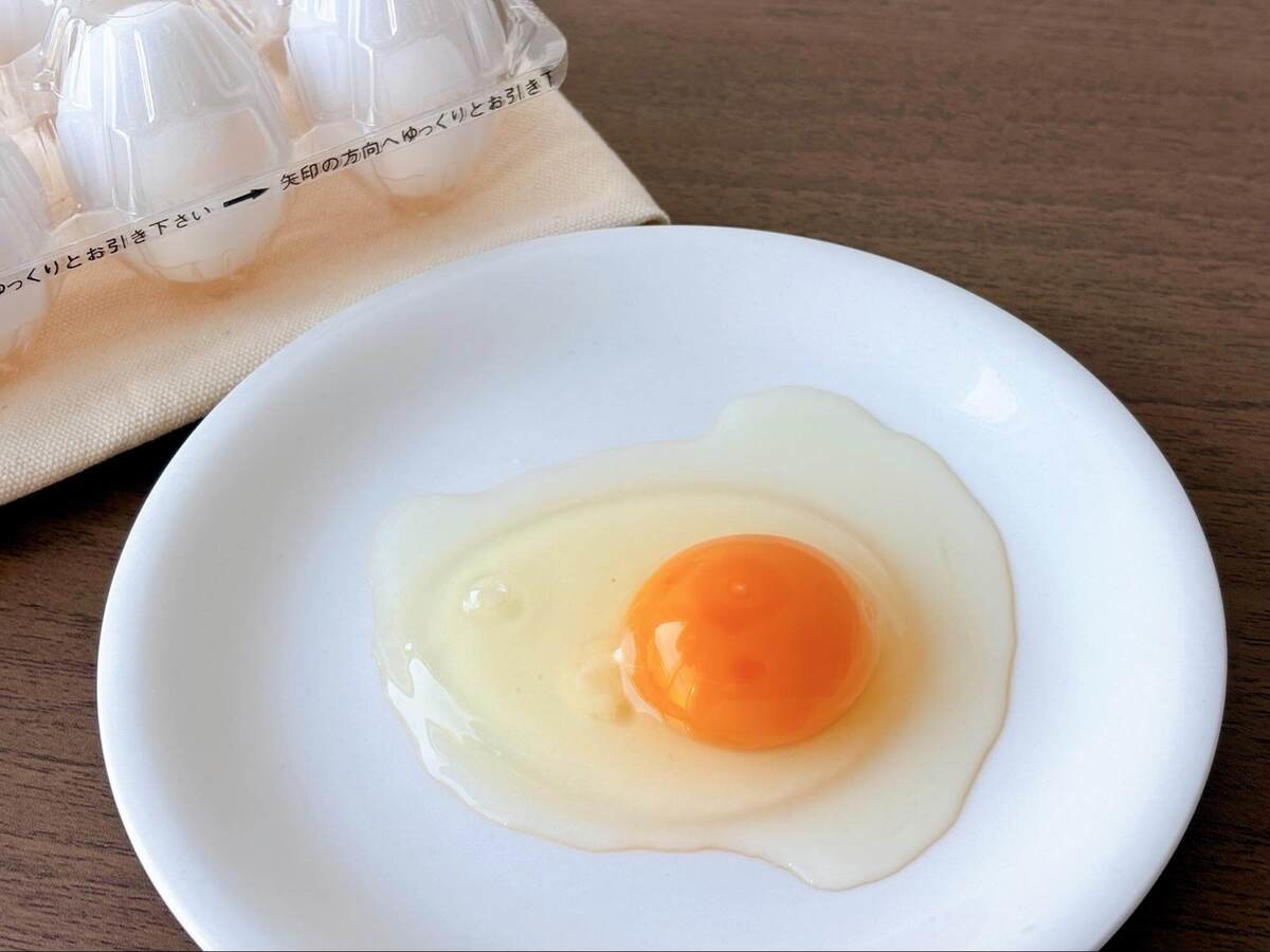 コスモスのお手頃定番食材