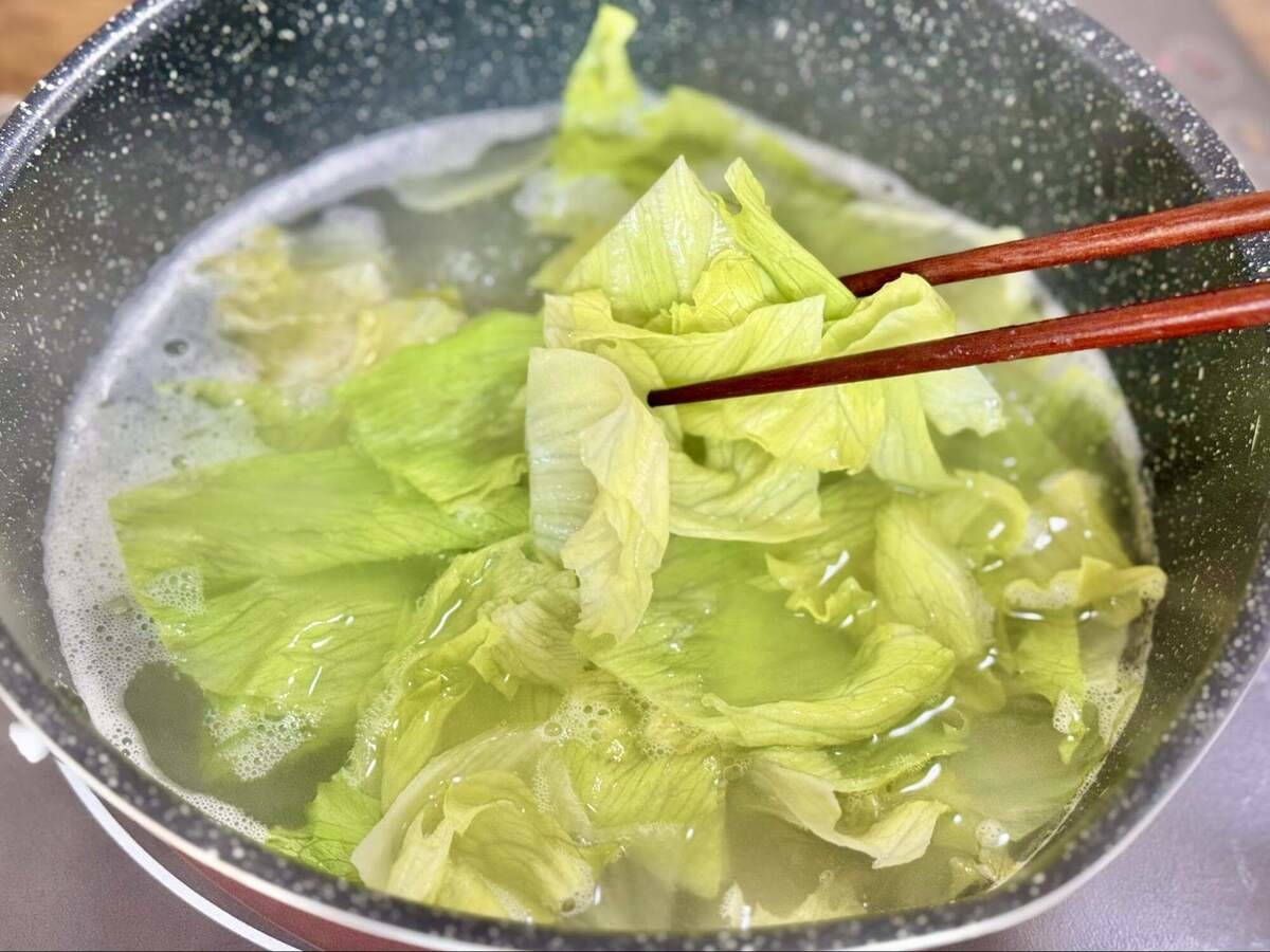 春雨レタス