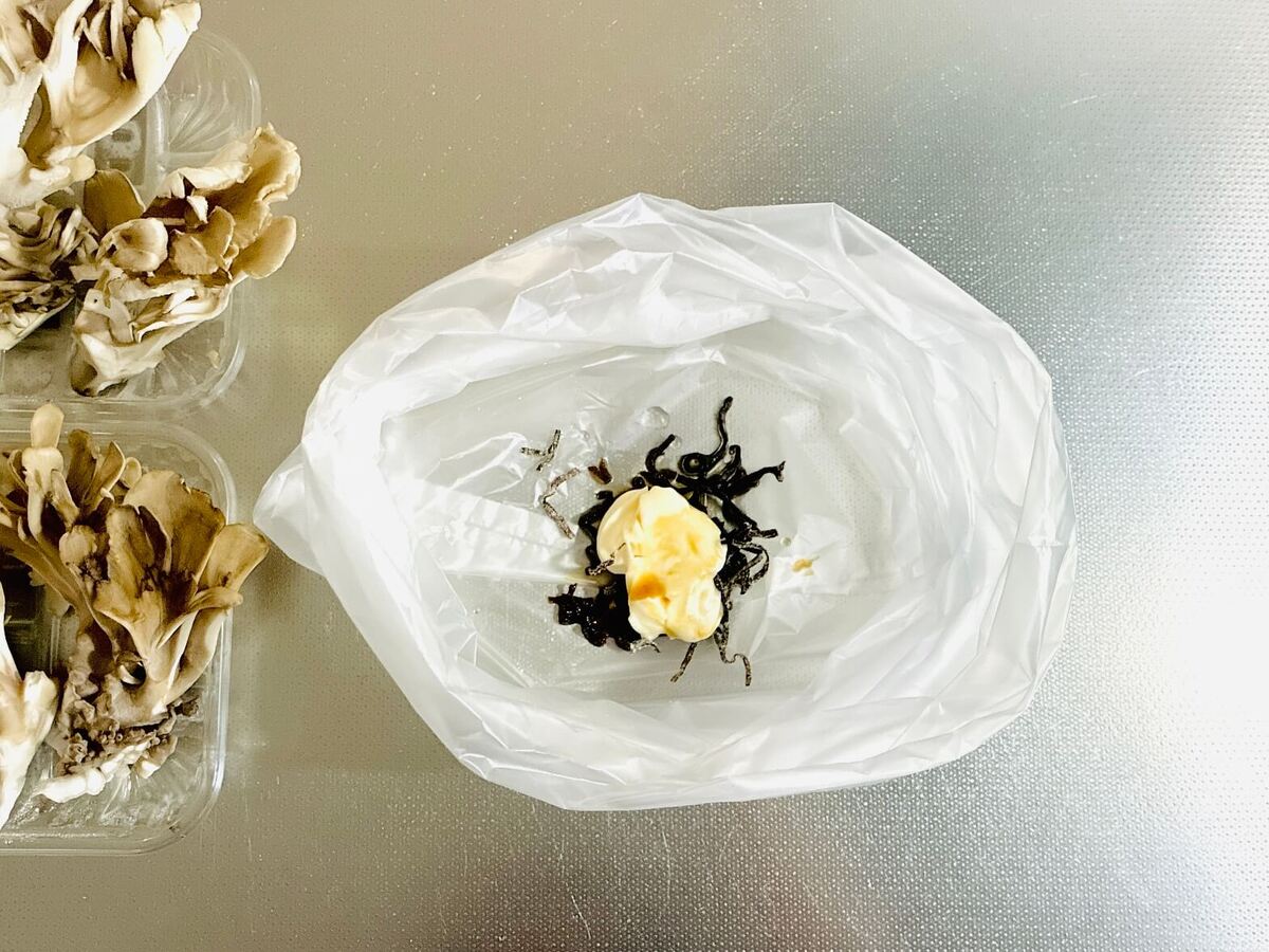 衣が美味しい 雪国まいたけの塩昆布唐揚げ