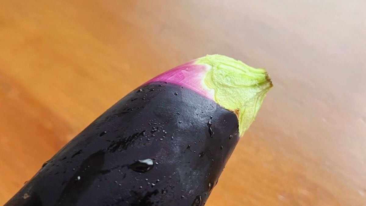 爆速ナスの煮浸し風