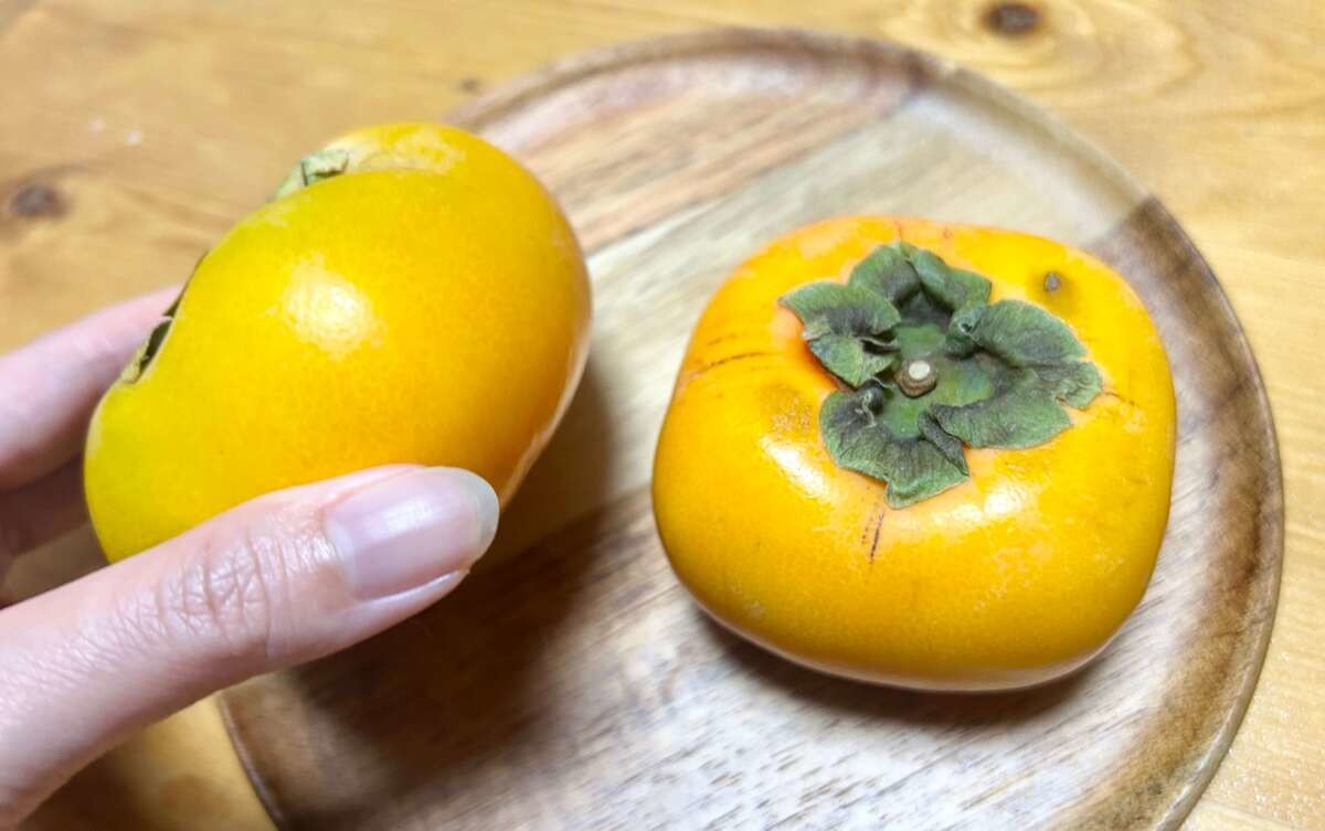 秋に旬を迎える