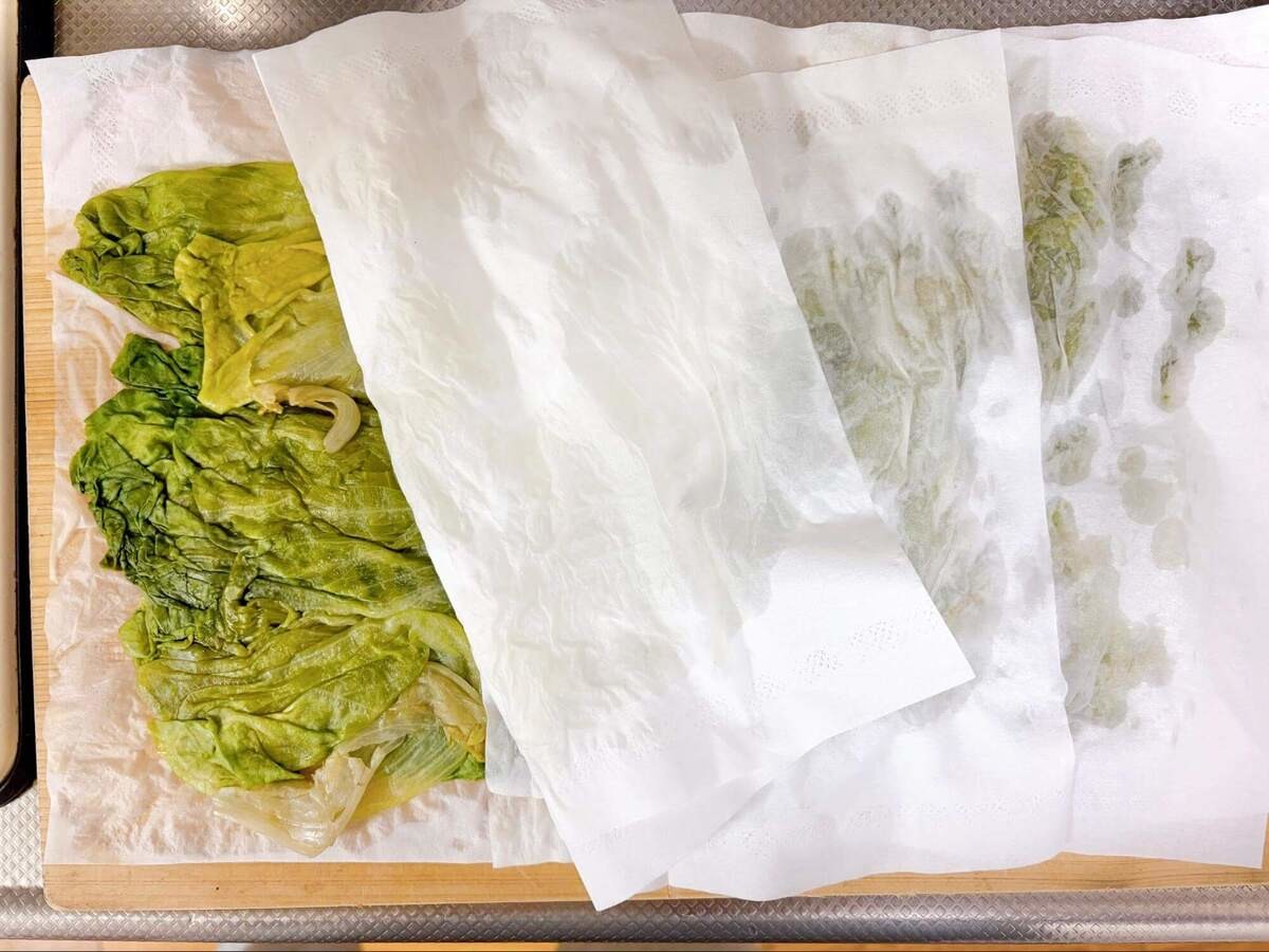 北海道の農家まりこさん「麻薬たまレタス」