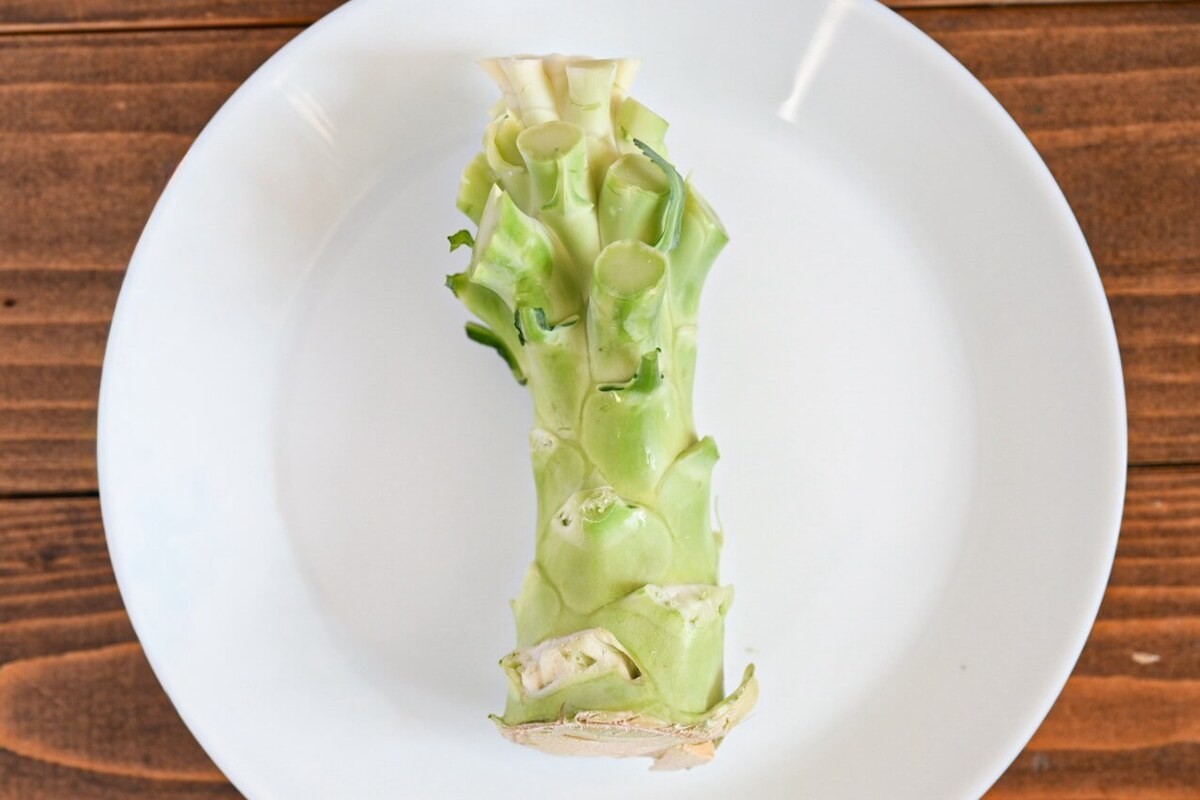 ブロッコリーのNG行為