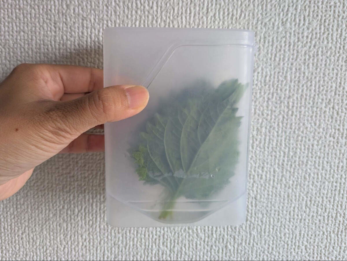 【ダイソー】「家のスポンジやめます」