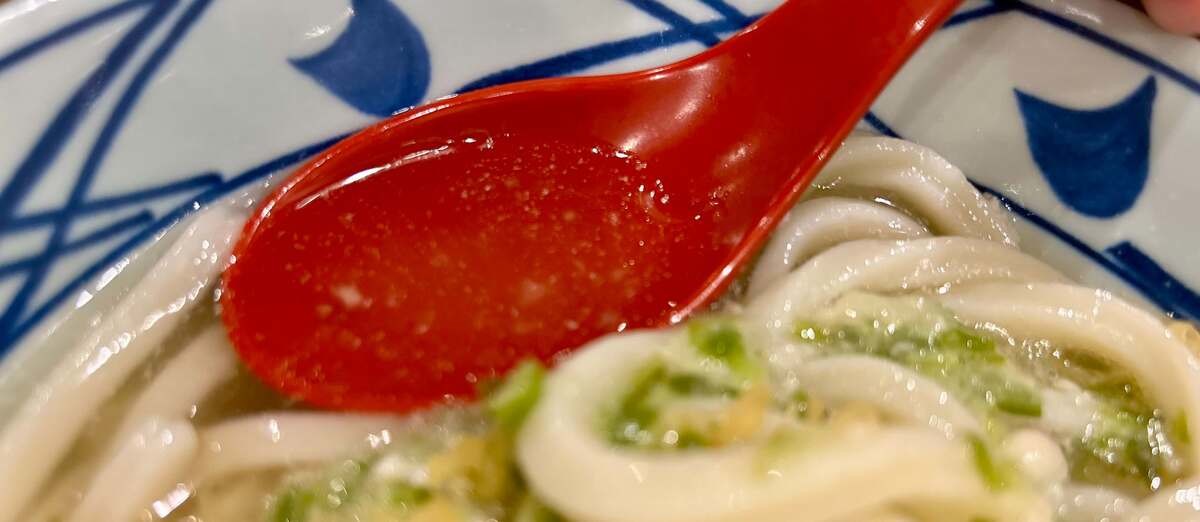 ねばとろ旨塩うどん