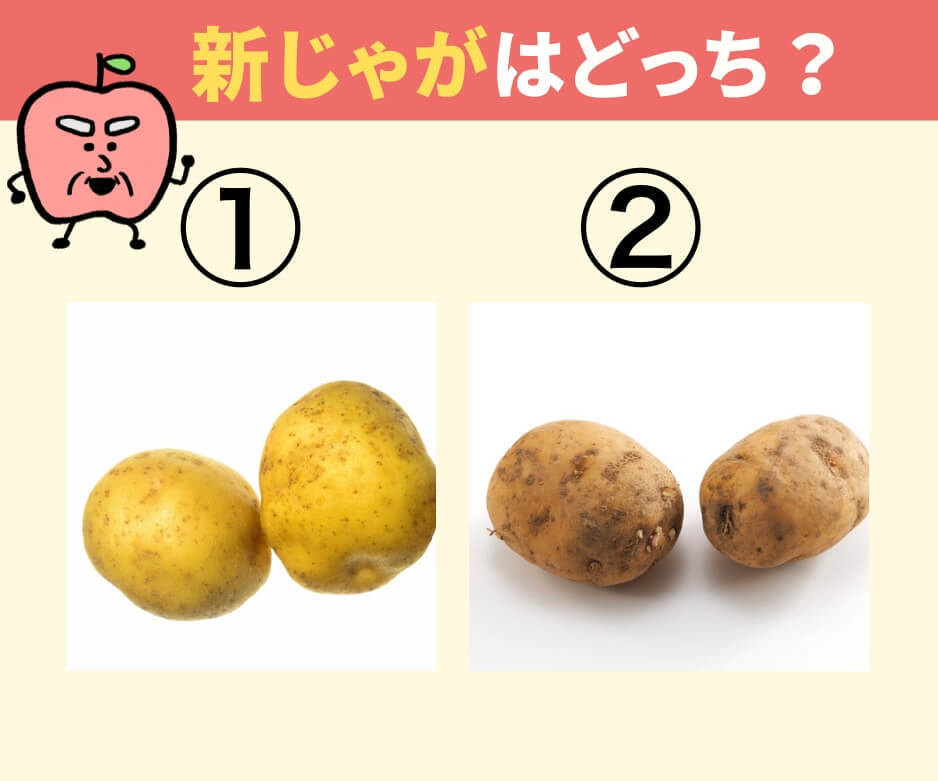 新じゃがいも」はどっち？【自炊派も間違える！？】「見た目じゃ