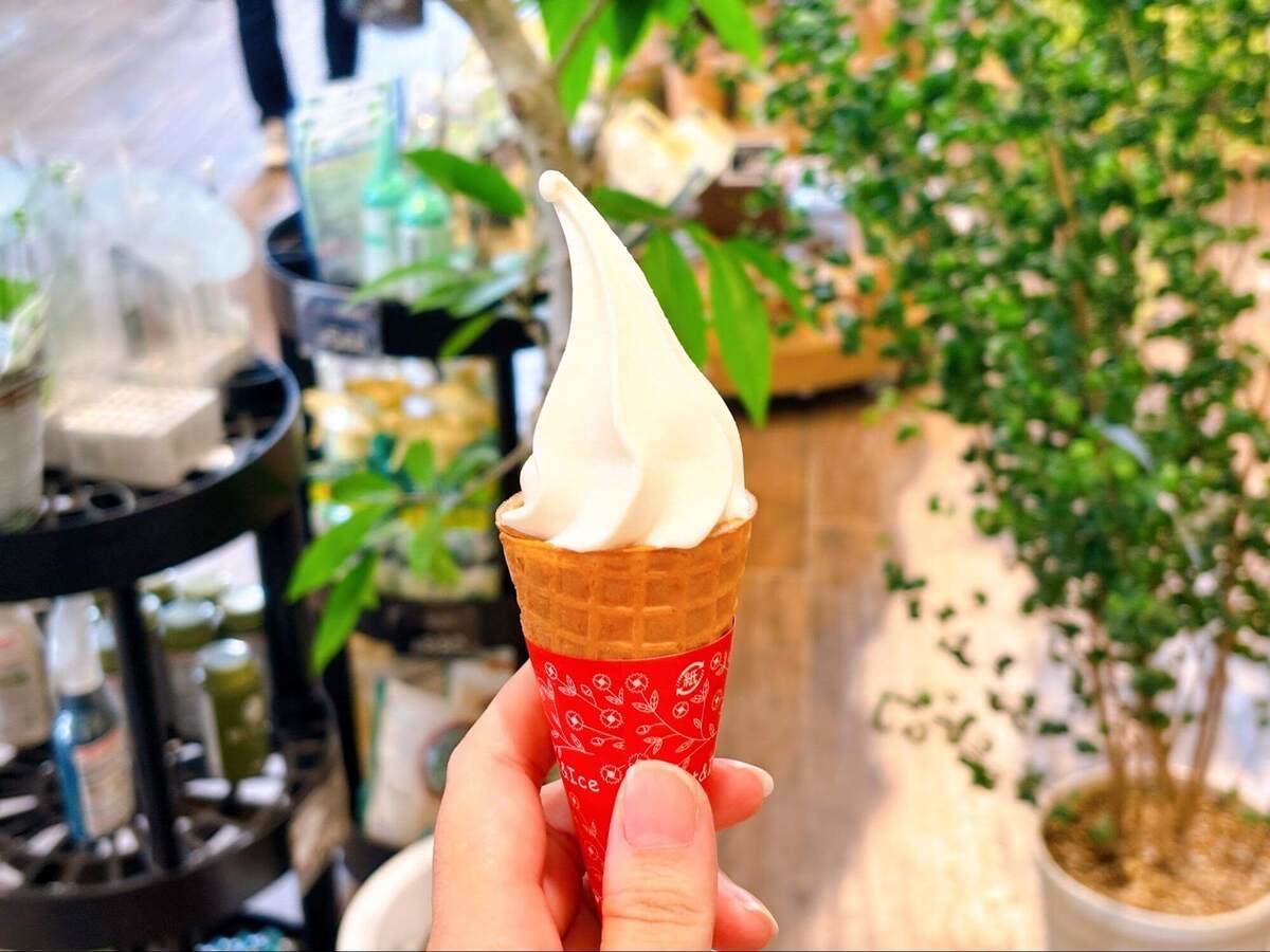 癒し空間が広がるカインズのカフェ