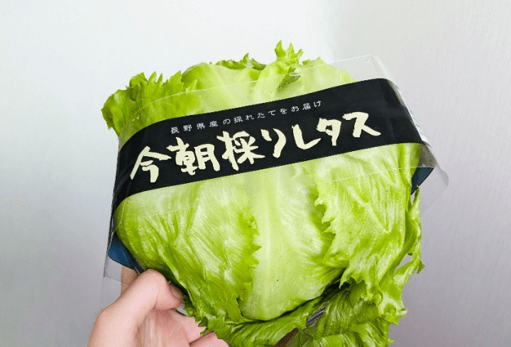 プロ直伝】「レタスを長持ちさせる」保存方法！鮮度キープの裏ワザとNG