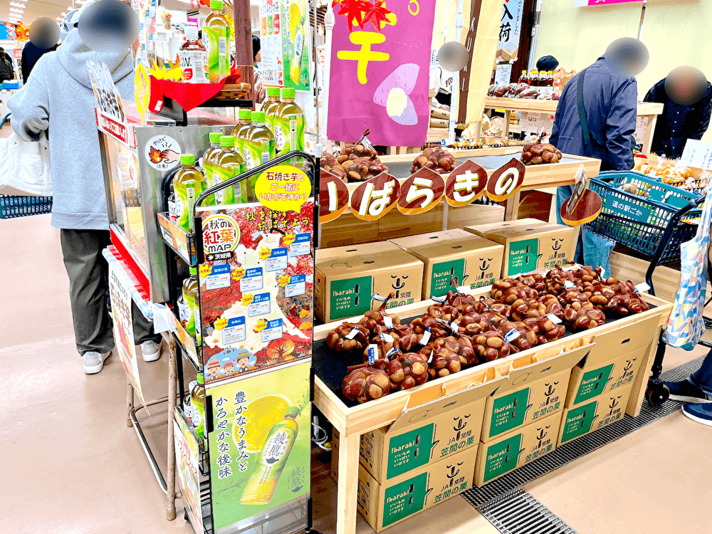 「道の駅ごか」