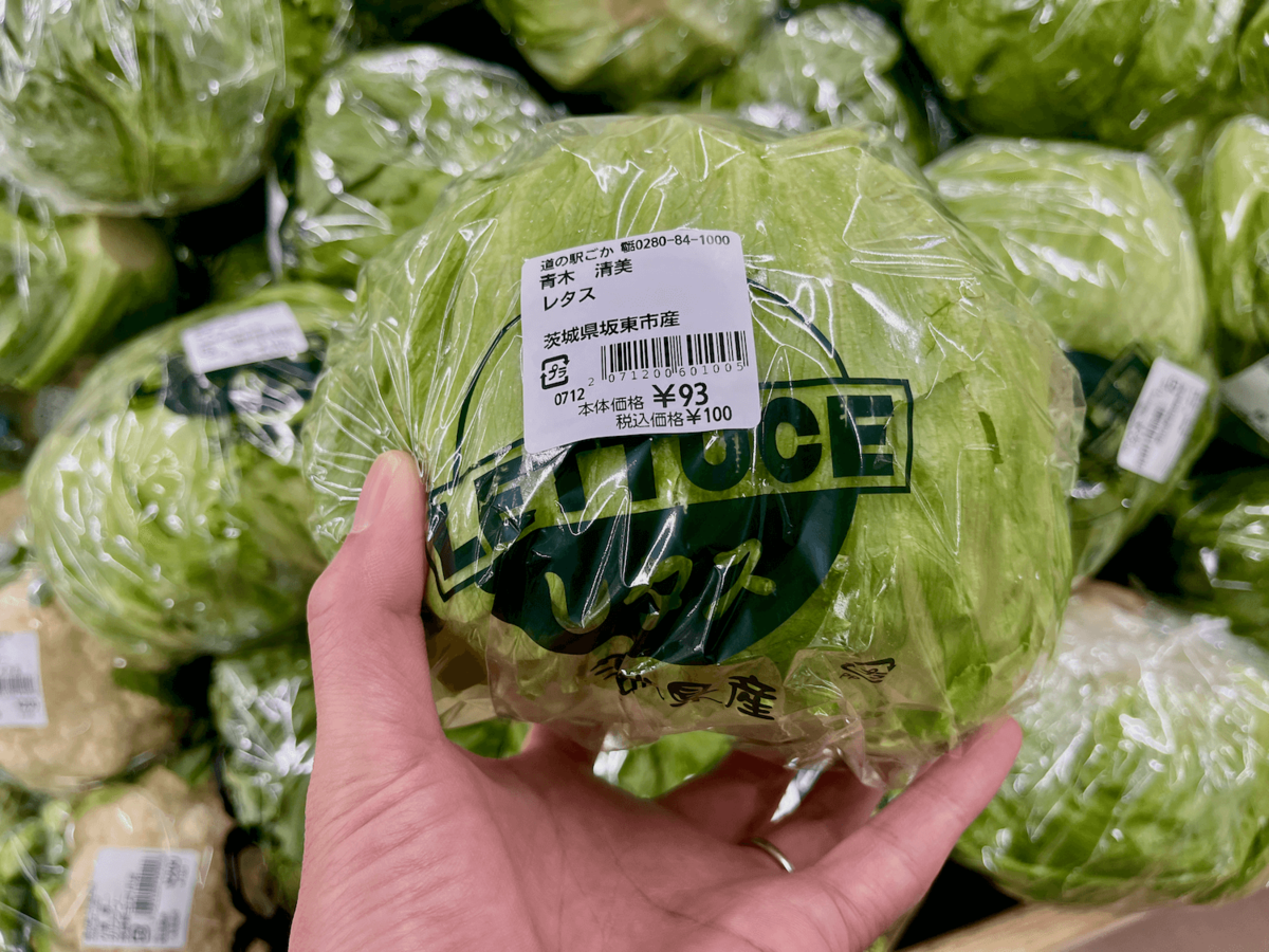 「道の駅ごか」