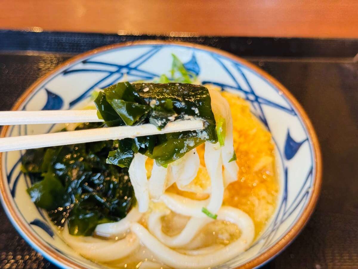期間限定『冷たーい旨塩うどん』の実食レポ