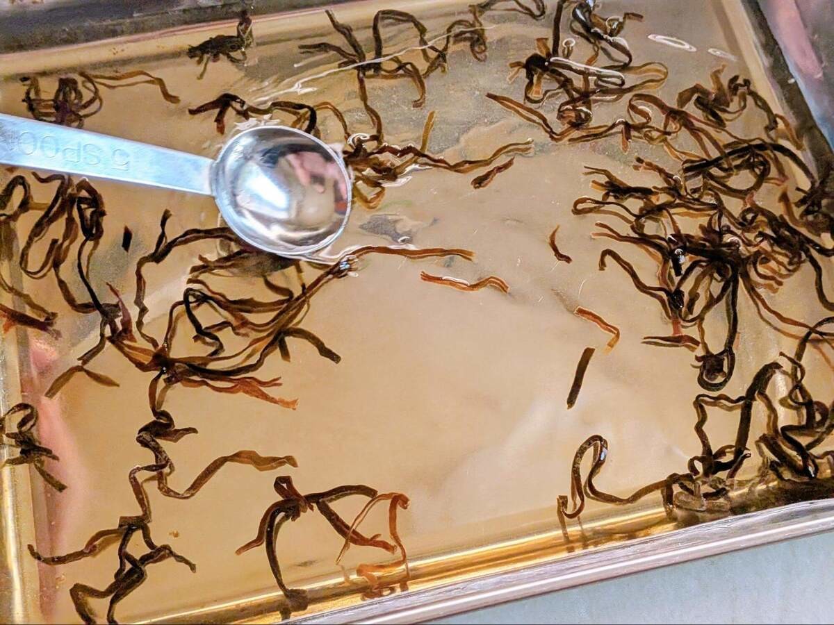 今はまっているおひたし