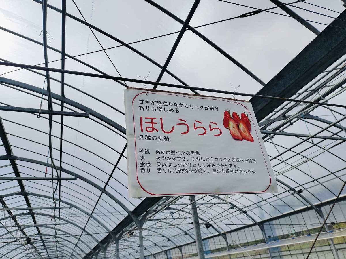 道の駅とみうら枇杷倶楽部