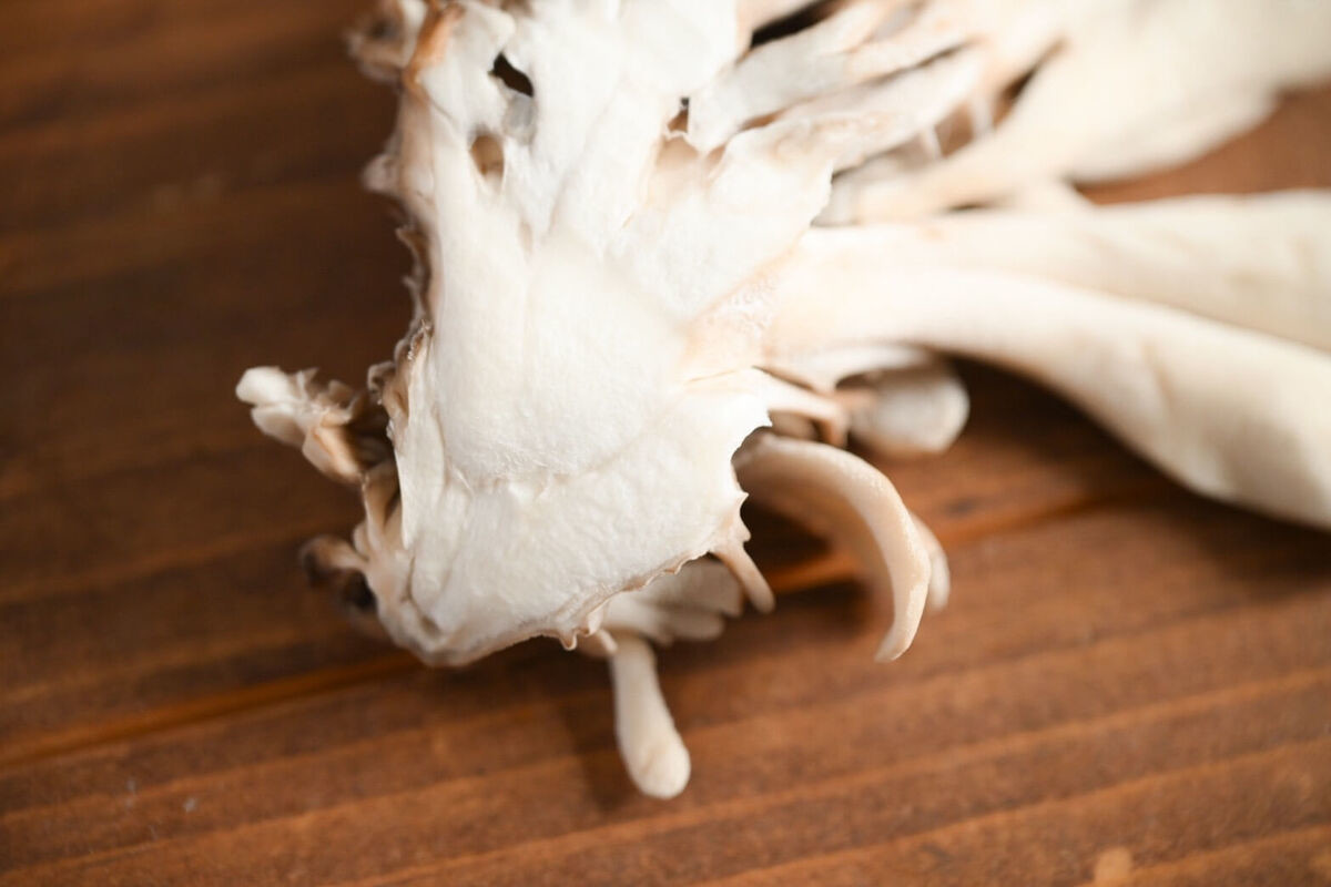 まいたけのNG行為