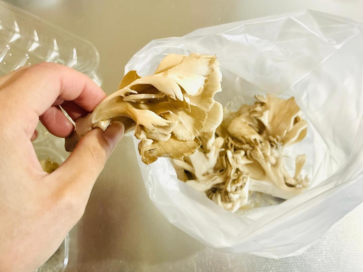 衣が美味しい 雪国まいたけの塩昆布唐揚げ