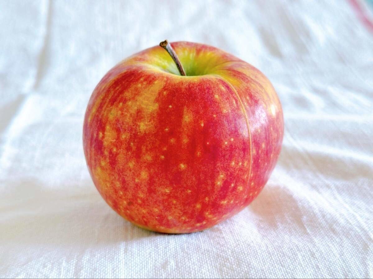 船昌「新鮮長持ち!りんごの保存テクニック」