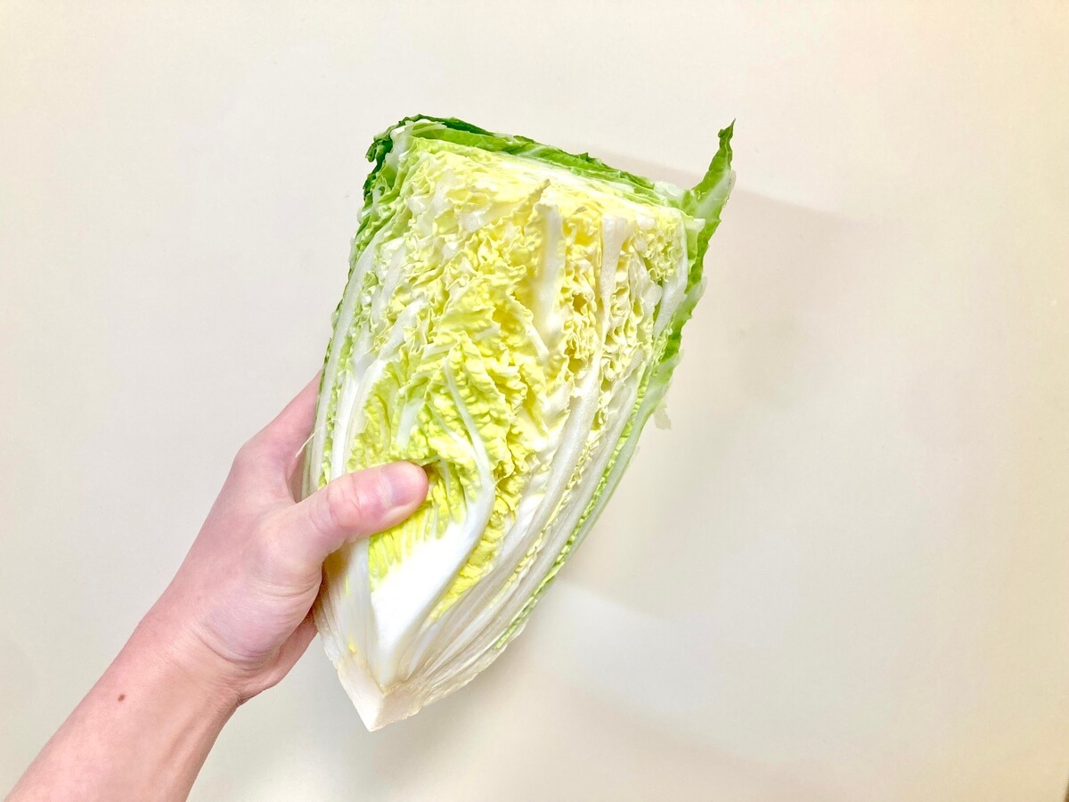【白菜の切り方】上だけ切って使うデメリットはある？