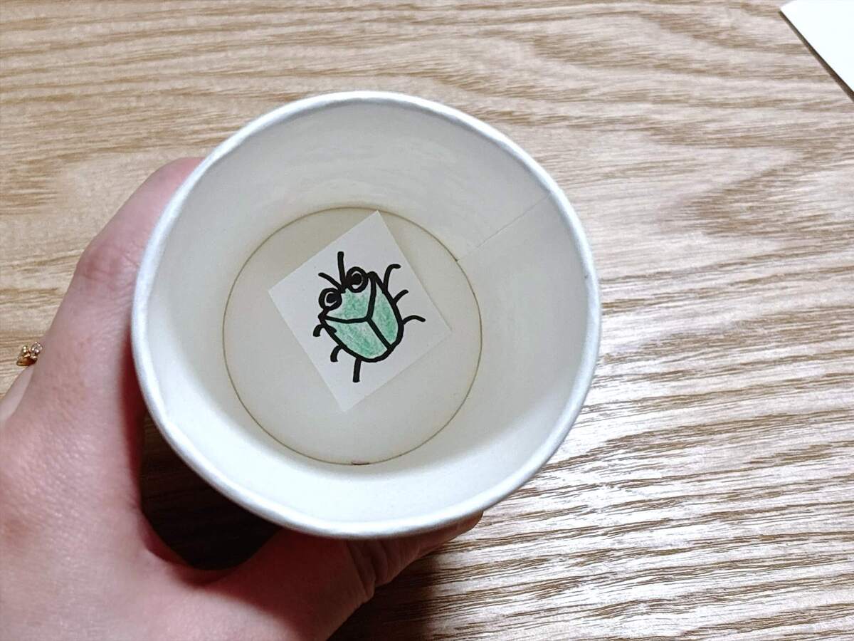 カメムシ