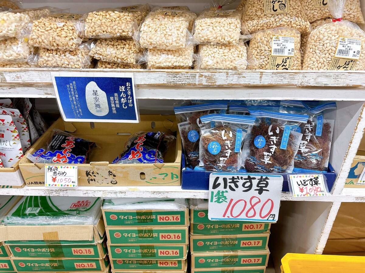 「道の駅大栄」