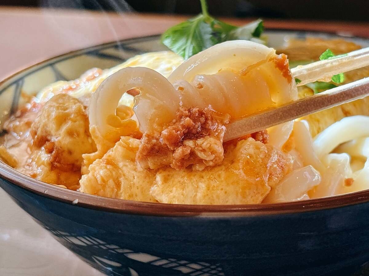 丸亀製麺「だし玉肉づつみうどん 並（税込890円）」