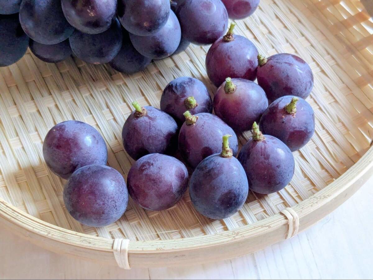 【見た目がカギ】美味しい巨峰の見分け方