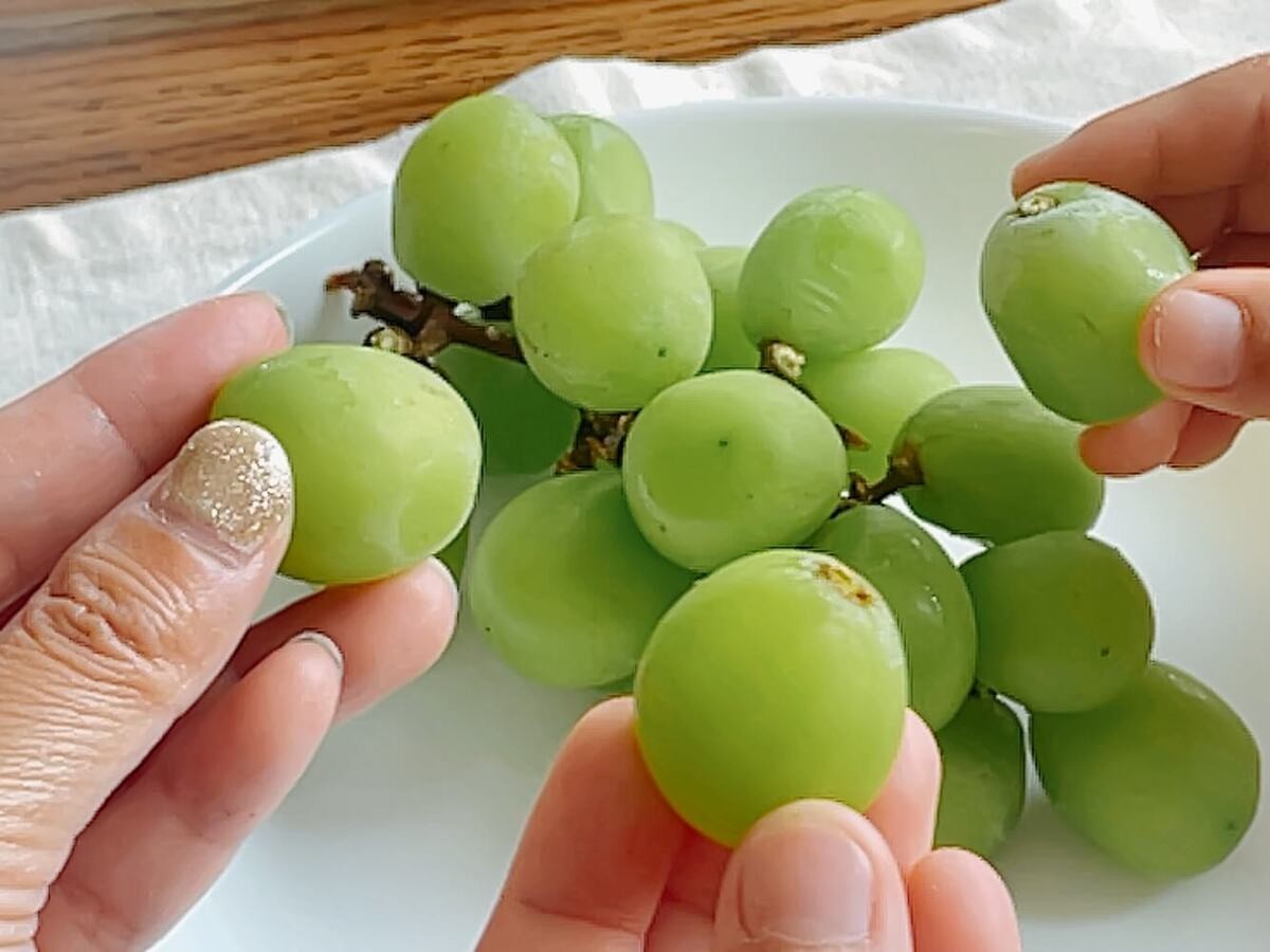 食べチョク「シャインマスカットを長持ちさせる方法」