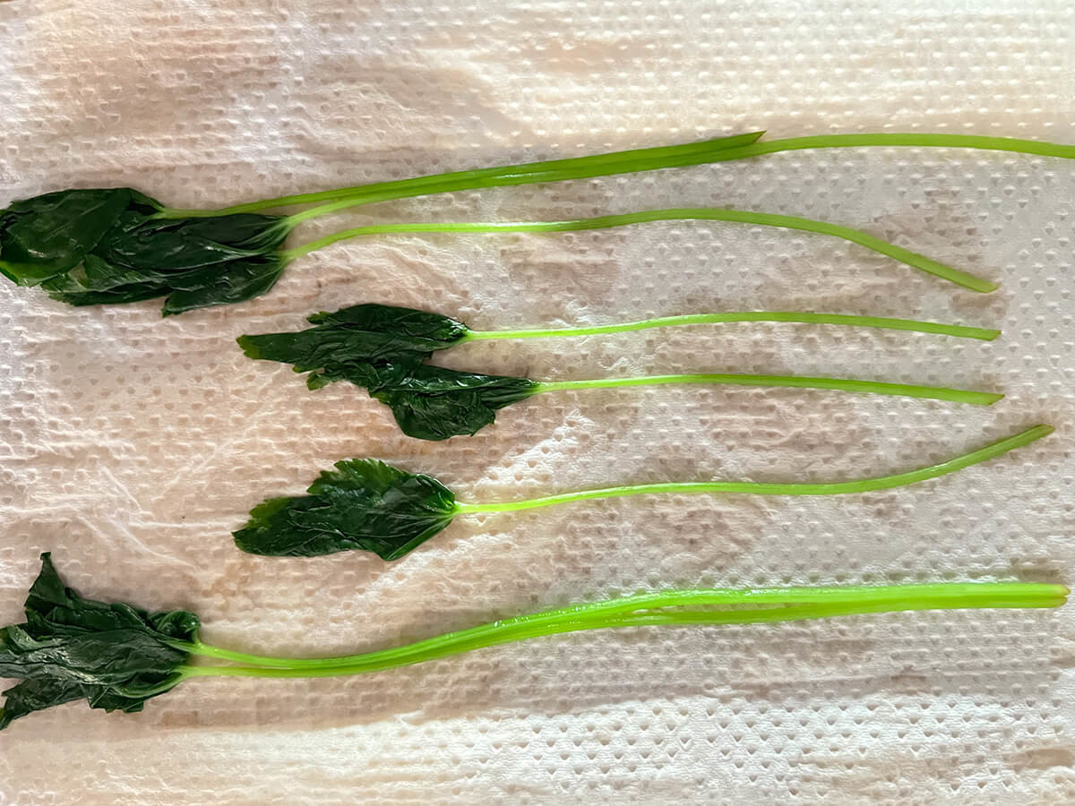 笠原将弘さん「笠原家のお雑煮」のレシピ