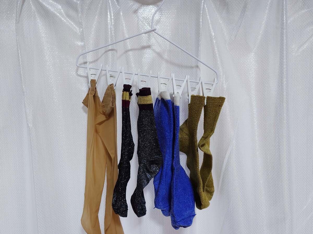 サタプラ紹介で話題！