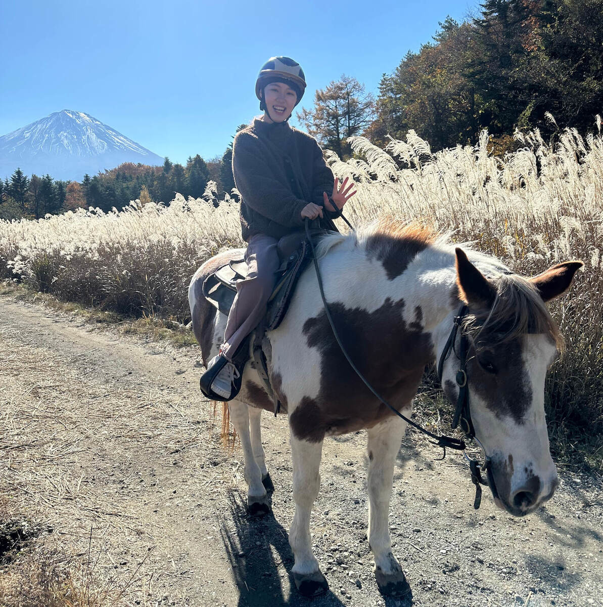 山梨パディーフィールド