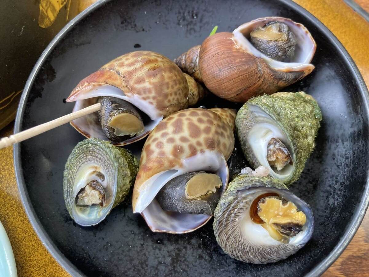 佐渡ヶ島「長浜荘」とは?