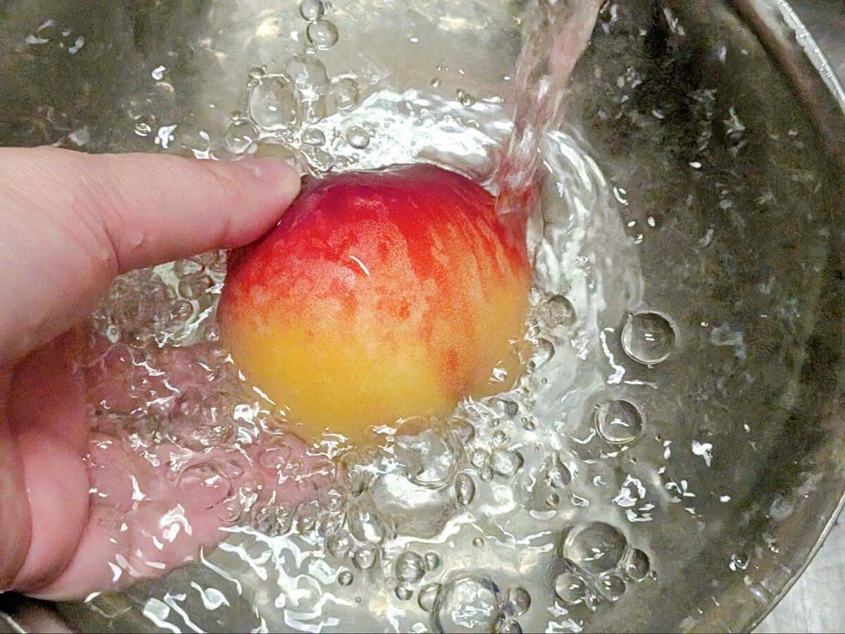桃