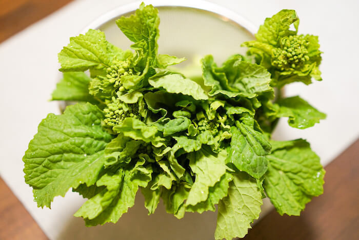 花かんざしの菜花