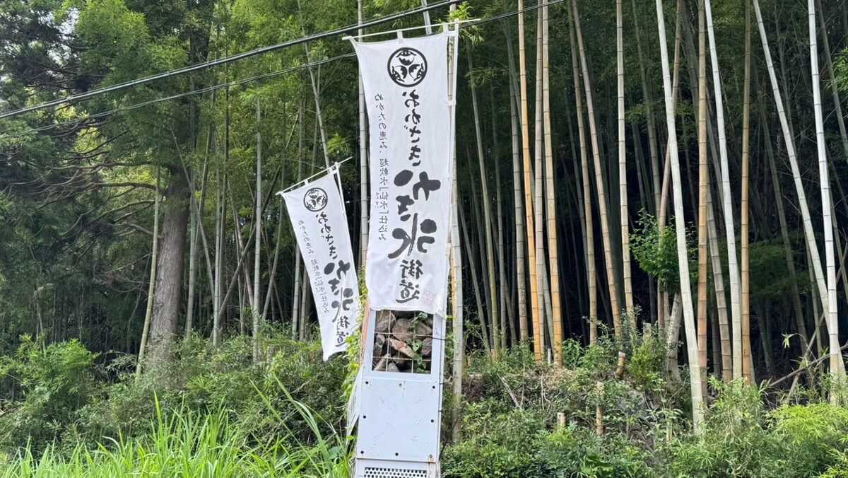 「かき氷街道」って何？夏限定の涼やかスポット