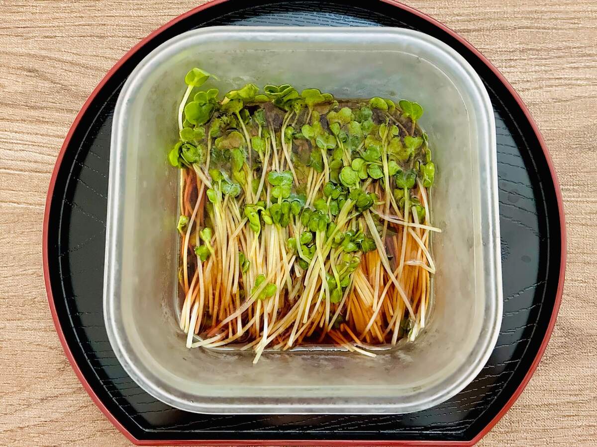 カイワレ大根