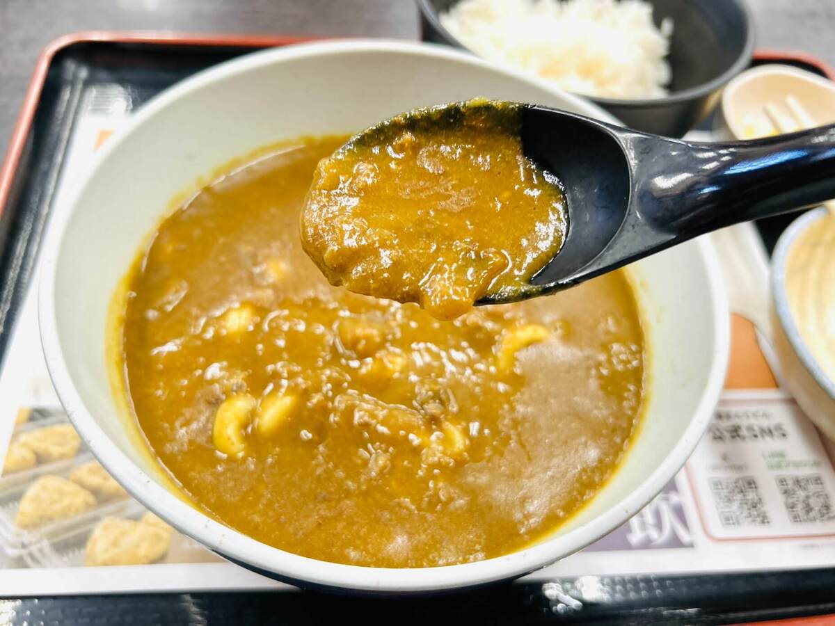 資さんうどん「カレーうどん」