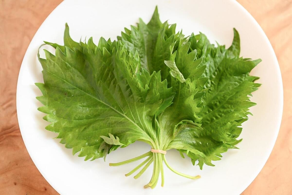 大葉