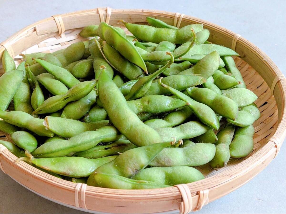枝豆の茹で方】