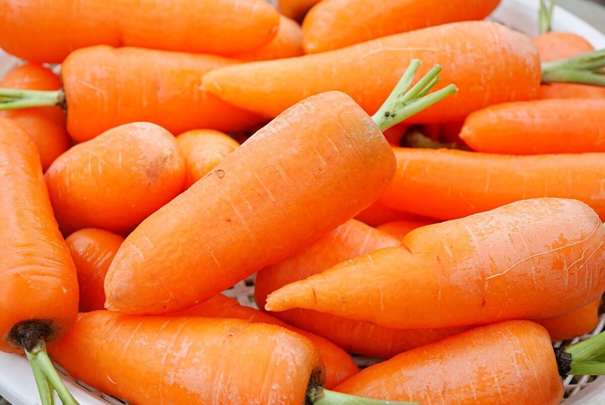 にんじんの見分け方